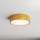 Brilagi - Plafondlamp CLARE 2xE27/40W/230V diameter 30 cm goud