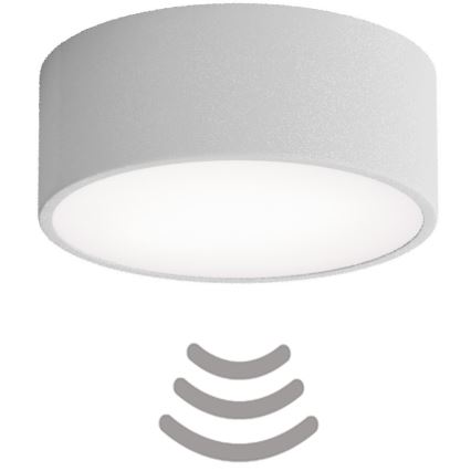 Brilagi - Plafondlamp met sensor CLARE 1xE27/40W/230V diameter 20 cm grijs