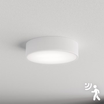 Brilagi - Plafondlamp met sensor CLARE 2xE27/40W/230V diameter 30 cm wit