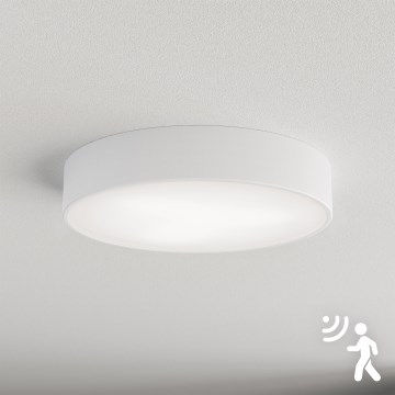 Brilagi - Plafondlamp met sensor CLARE 3xE27/40W/230V diameter 40 cm wit
