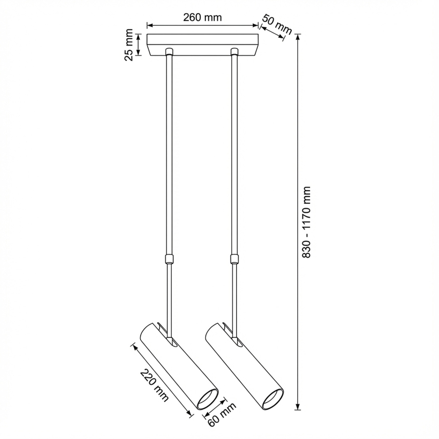 Brilagi - Plafondlamp met stang SELE 2xGU10/30W/230V zwart