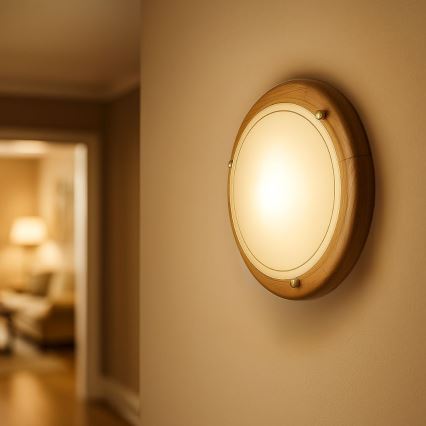 Brilagi - Plafondlamp ORBIS 1x E27/60W/230V Ø 30 cm grenen