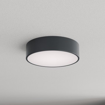 Brilagi - Plafondlamp voor badkamer CLARE 2xE27/24W/230V Ø 30 cm antraciet IP54