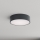 Brilagi - Plafondlamp voor badkamer CLARE 2xE27/24W/230V Ø 30 cm antraciet IP54