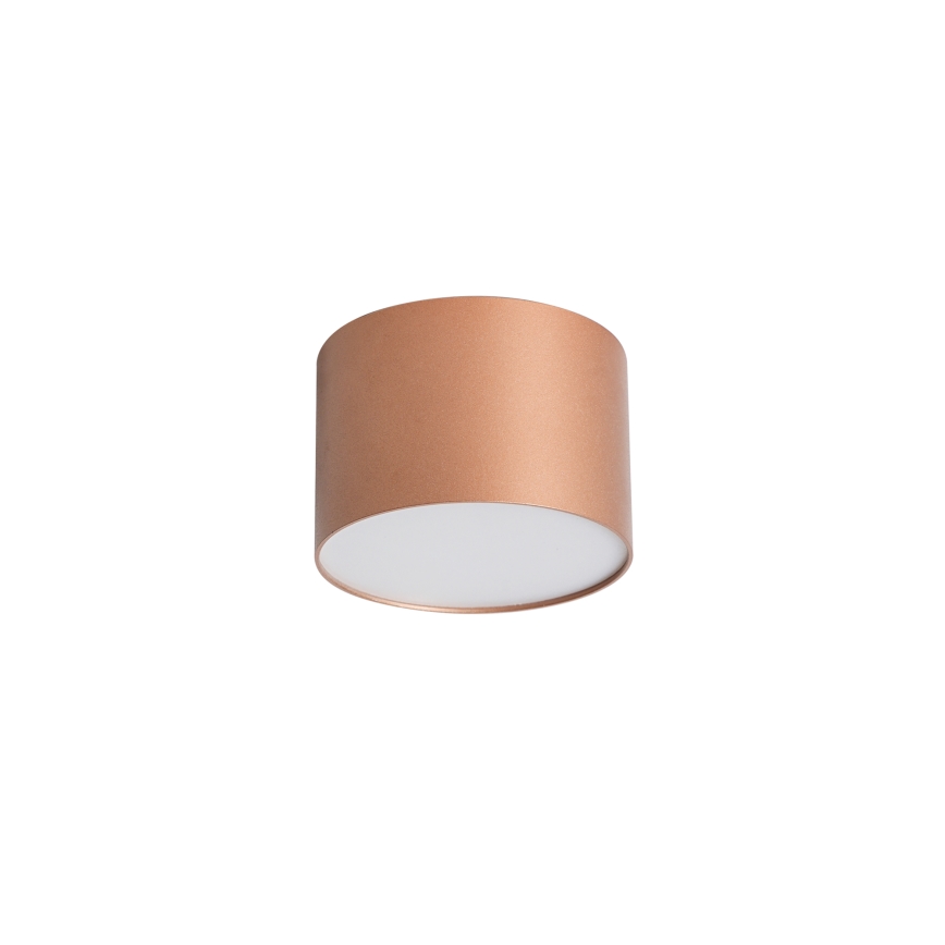 BRILAGI - Badkamerplafondlamp FORIS LED/9W/230V Ø 9 cm bronskleurig IP44 CRI 90