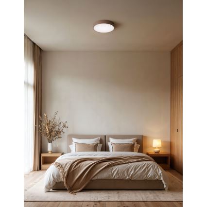 Brilagi - Plafondlamp CLARE voor badkamer met bewegings- en schemersensor, 2xE27/24W/230V, Ø 30 cm, bruin, IP54