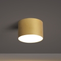 BRILAGI - Plafondlamp voor buiten FORIS LED/9W/230V pr. 9 cm goudkleurig IP44