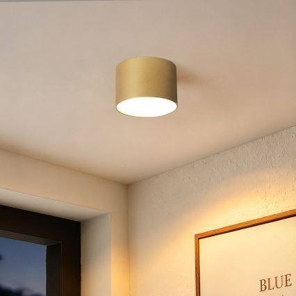 BRILAGI - Plafondlamp voor buiten FORIS LED/9W/230V pr. 9 cm goudkleurig IP44
