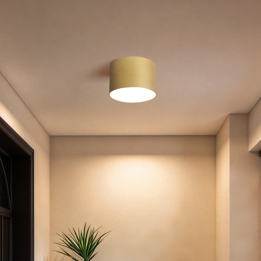 BRILAGI - Plafondlamp voor buiten FORIS LED/9W/230V pr. 9 cm goudkleurig IP44
