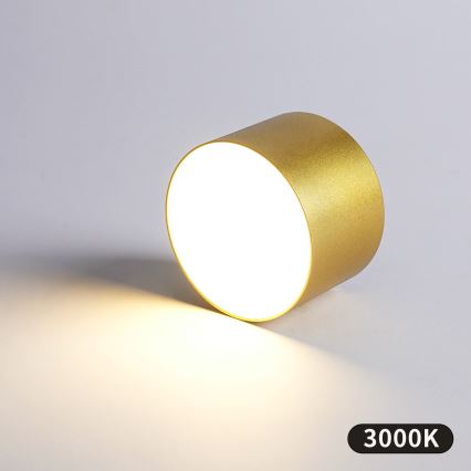 BRILAGI - Plafondlamp voor buiten FORIS LED/9W/230V pr. 9 cm goudkleurig IP44