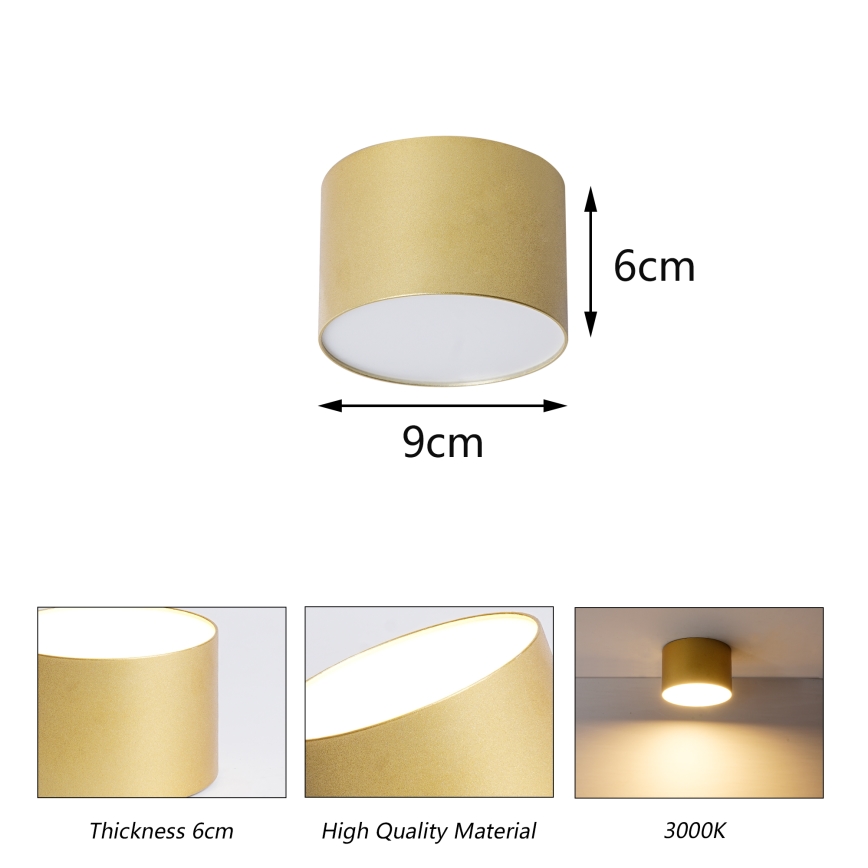 BRILAGI - Plafondlamp voor buiten FORIS LED/9W/230V pr. 9 cm goudkleurig IP44