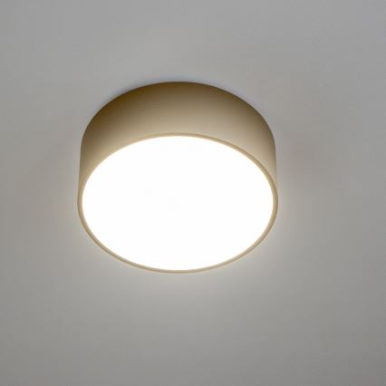 Brilagi - Plafondlamp voor de badkamer POOL 2xE27/15W/230V Ø 30 cm IP54 beige