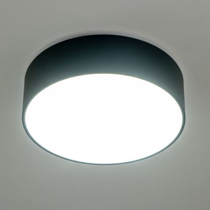 Brilagi - Plafondlamp voor de badkamer POOL 3xE27/15W/230V Ø 40 cm IP54 zwart