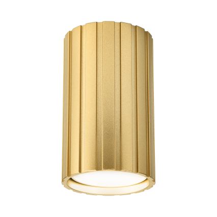 Brilagi - Plafondspot CRISPINA 1xGU10/10W/230V 10 cm goudkleurig