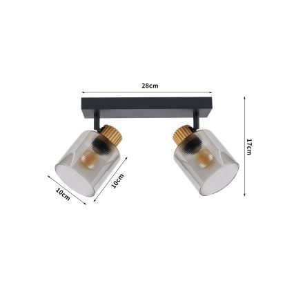 Brilagi - Plafondspot HYGGE 2xE14/15W/230V zwart/gerookt glas