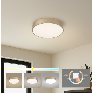 Brilagi - POOL LED-plafondlamp 36W/230V 3000/4000/6000K Ø 30 cm goudkleurig