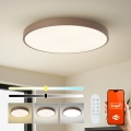 Brilagi - POOL SMART dimbaar LED-armatuur LED/100W/230V Ø 80 cm 3000-6000K Wi-Fi Tuya + afstandsbediening bruin