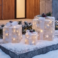 BRILAGI - Set van 3 LED buiten kerstdecoraties LED/230V IP44 cadeaus