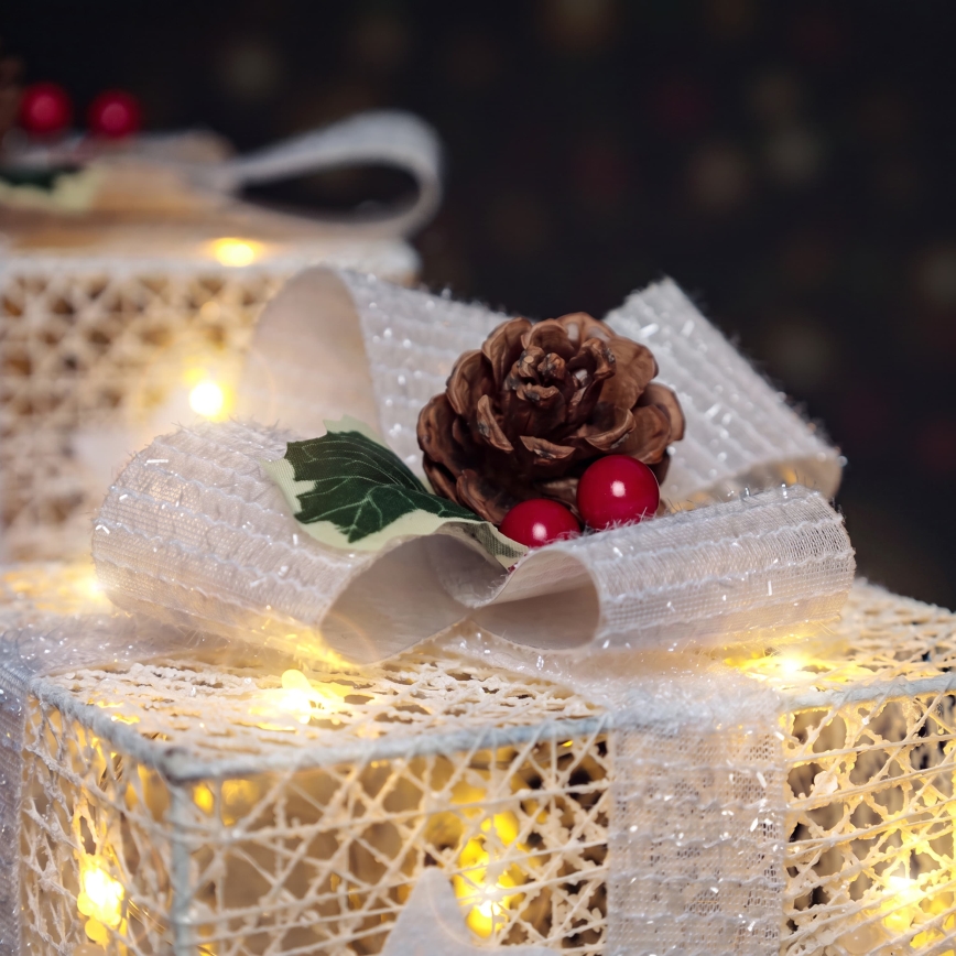 BRILAGI - Set van 3 LED buiten kerstdecoraties LED/230V IP44 cadeaus