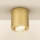 Brilagi - Spot MIA 1xGU10/30W/230V 84x80 mm goud