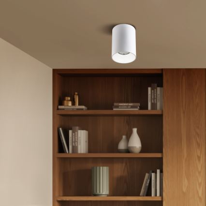Brilagi - Spot TRINE 1xGU10/30W/230V wit