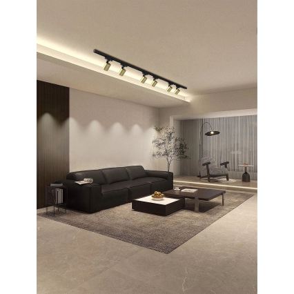 Brilagi - spot voor railsysteem HUSKY 6xGU10/10W/230V zwart/goud