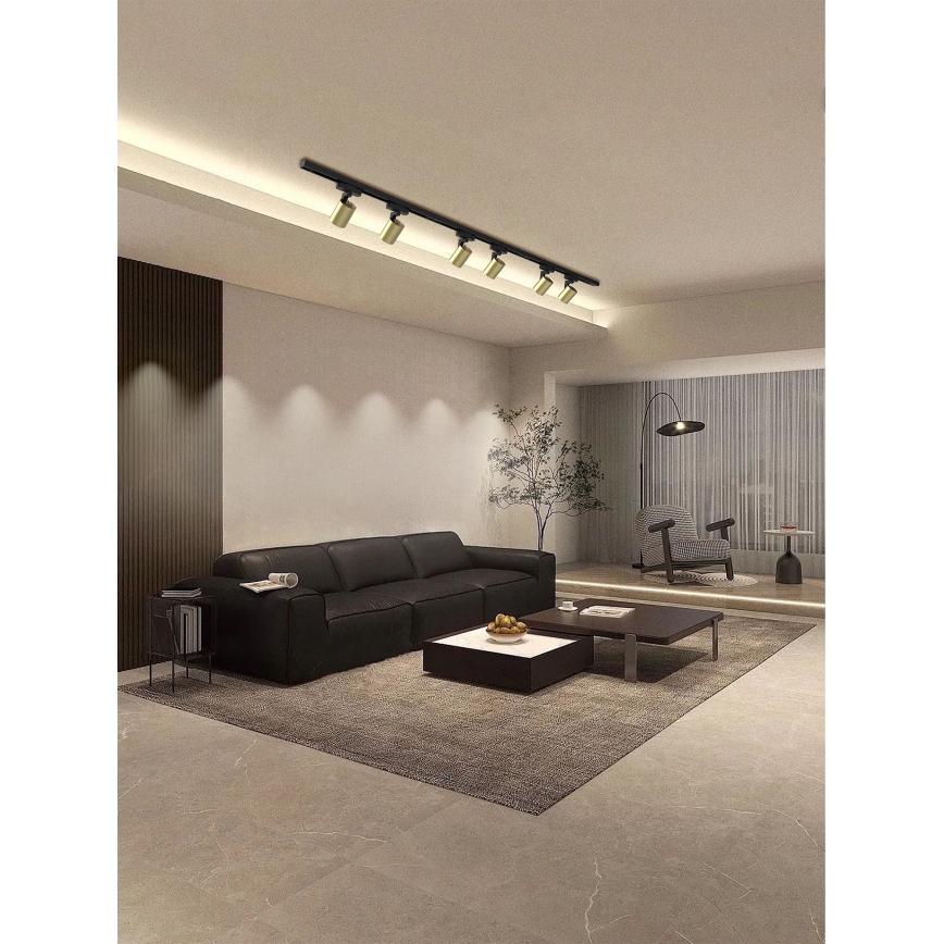 Brilagi - spot voor railsysteem HUSKY 6xGU10/10W/230V zwart/goud