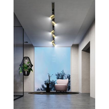 Brilagi - spot voor railsysteem HUSKY 6xGU10/10W/230V zwart/goud