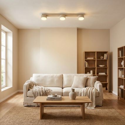 Brilagi - Spotarmatuur 3xGX53/12W/230V beige