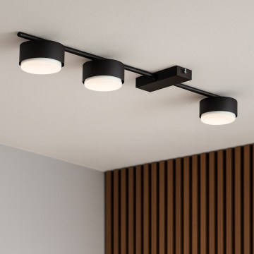 Brilagi - Spotarmatuur 3xGX53/12W/230V zwart