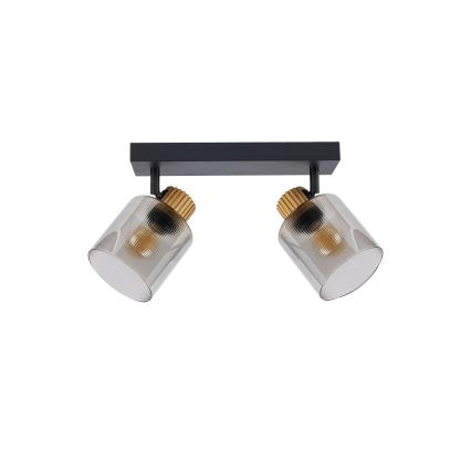 Brilagi - Spotarmatuur HYGGE 2xE14/15W/230V zwart/rookglas