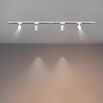 Brilagi - Spotarmatuur voor railsysteem HUSKY 4x GU10/10W/230V wit
