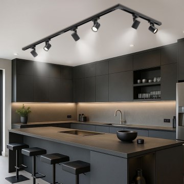 Brilagi - spotarmatuur voor railsysteem HUSKY 6xGU10/10W/230V zwart