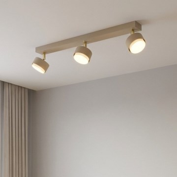 Brilagi - Spotlamp 3xGX53/12W/230V beige