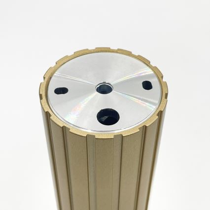 Brilagi - Spotlamp CRISPINA 1xGU10/10W/230V 20 cm goud