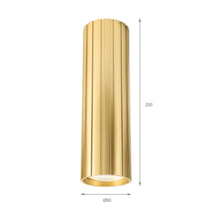 Brilagi - Spotlamp CRISPINA 1xGU10/10W/230V 20 cm goud