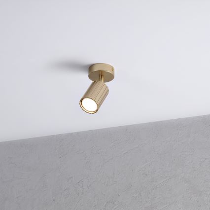 Brilagi - Spotlamp CRISPINA 1xGU10/10W/230V goudkleurig