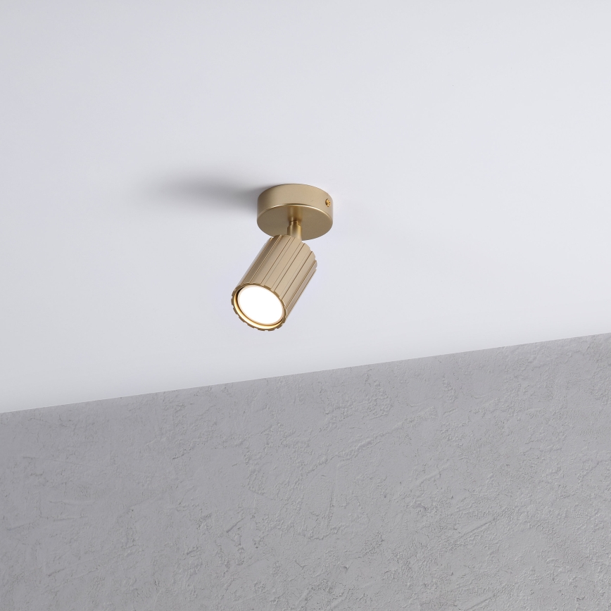 Brilagi - Spotlamp CRISPINA 1xGU10/10W/230V goudkleurig