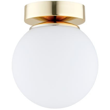Brilagi - Spotlamp MILO 1xE27/60W/230V goud