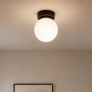 BRILAGI - Spotlamp MILO 1xE27/60W/230V Ø 15 cm zwart