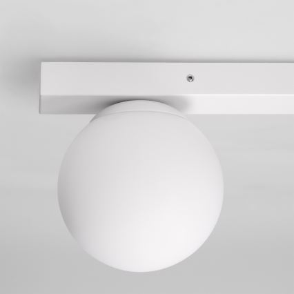 Brilagi - spotlamp SELE BALL 1xGU10/30W/230V + 1xG9/10W wit