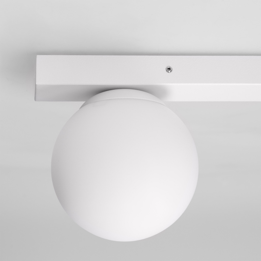 Brilagi - spotlamp SELE BALL 1xGU10/30W/230V + 1xG9/10W wit