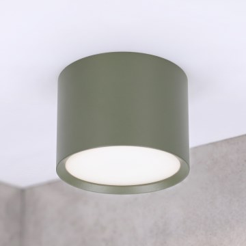 BRILAGI - Spotlamp SMOOTH 1xGX53/15W/230V 60x82 mm donkergroen