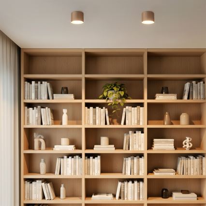 Brilagi - Spotlamp STRIPY 1xGX53/15W/230V beige