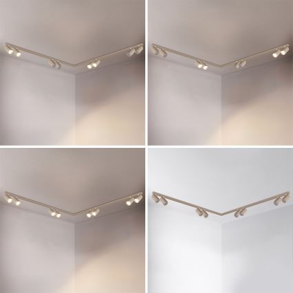 Brilagi - Spotsarmatuur SELE LONG 8xGU10/30W/230V beige