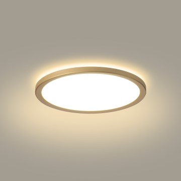 Brilagi - ULTRA SLIM LED plafondlamp voor badkamer, 12W/230V, Ø 22,5 cm, goudkleurig, IP54