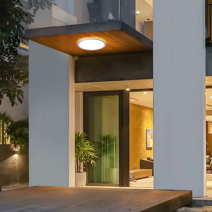 Brilagi - LED badkamerplafondlamp ULTRA SLIM LED/24W/230V pr. 42 cm zilver IP54