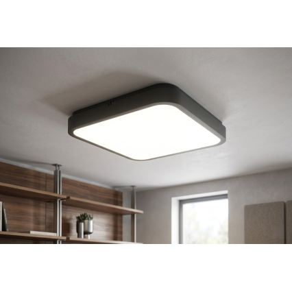 BRILAGI - LED plafondlamp voor de badkamer ZENNA LED/36W/230V 41x41 cm IP44 zwart