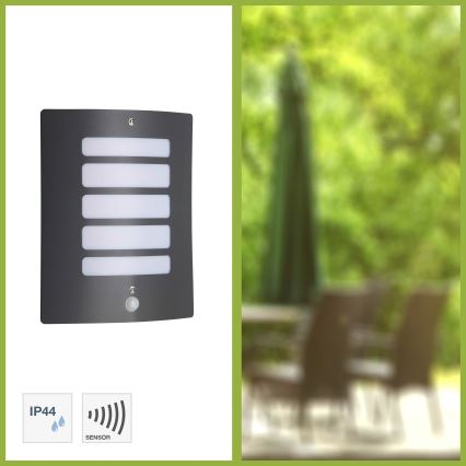 Brilliant - Buitenwandlamp met bewegings- en schemersensor TODD 1xE27/60W/230V IP44 antraciet