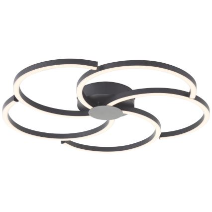 Brilliant - Dimbare LED Plafondlamp FICO LED/32W/230V diameter 57 cm zwart
